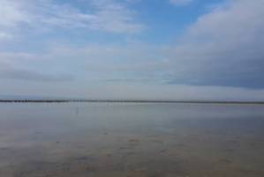 کمیته نجات خلیج گرگان و تالاب میانکاله تشکیل شد