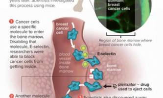 کشف درمان جدید برای سرطان پستان