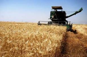 جنگل ها ومراتع گلستان قربانی آتش زدن مزارع