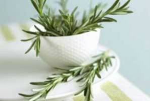 بوييدن اين گياه، حافظه را تقويت مي کند