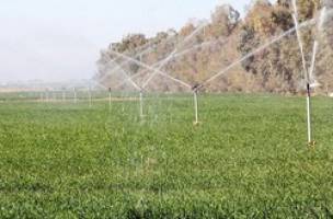 توصیه های ۶ روزه هواشناسی به کشاورزان