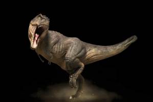 کشف ناخن یک دایناسور در کویر لوت