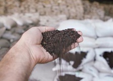 سودجویان به دنبال فروش چای فاسد با سود 100 برابری هستند