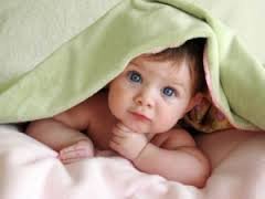 آمار تولد در سال جاری