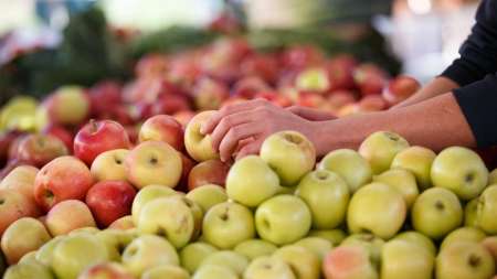 غذاهای پرفیبر؛ راز طول عمر و پیری سالم