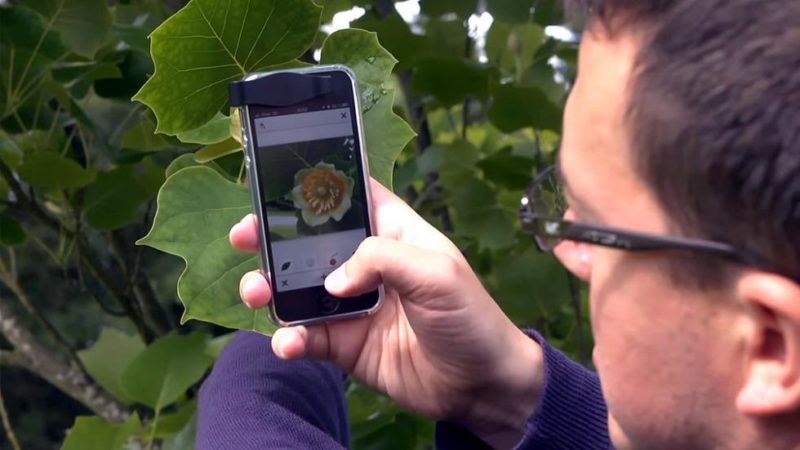 معرفی PlantNet؛ اپلیکیشنی برای شناسایی گیاهان از طریق گرفتن عکس