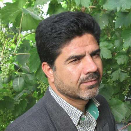 سوالاتی از سخنگوی وزارت کشور 
