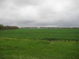 بیش از 550 هکتار از اراضی روستای الک کامیاران به کشاورزان اهدا شد