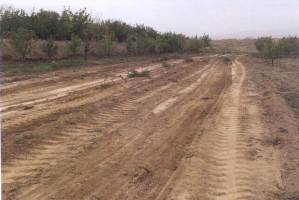 شاخص های توسعه موجب تغییر در موضوع اراضی شده است