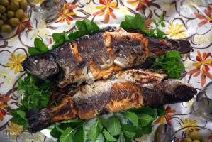 دلایل کاهش قیمت ماهی قزل آلا در بازار