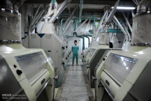 میزان تولید در فارس ۴۰ درصد ظرفیت واقعی است