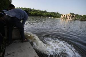 ۱۰ هزار قطعه بچه ماهی کپور در استخر ائل گلی تبریز رها شدند