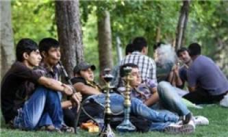 توزیع قلیان در پارک‌ها شکارگاهی برای سوق دادن جوانان به سمت اعتیاد