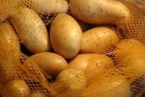صدور اولین محموله سیب زمینی ازطریق مرز ریلی اینچه برون
