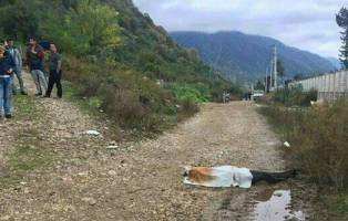 دستگیری عروس به خاطر حمله مرگبار برادرش به خواستگار