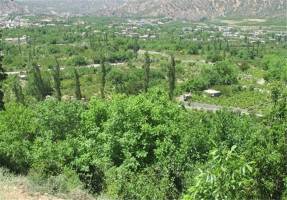  به‌کارگیری روش‌های مکانیزه به جای کشت سنتی در اراضی کشاورزی