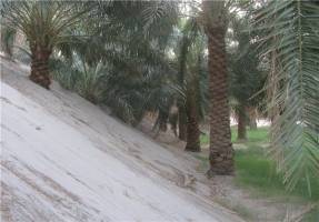 روزانه ۱۰ تن شن در روستاها سرازیر می شود