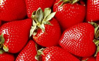 «کردستان» کریدوری برای ترانزیت ایران