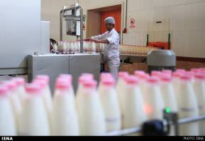 راه‌اندازی صندوق شیر با ۴۵۰ میلیارد تومان اعتبار