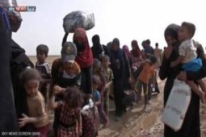 خطر آوارگی ۲ میلیون و ۳۰۰ هزار عراقی وجود دارد