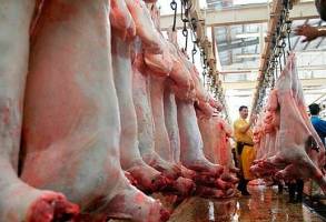 پلمب ۳۷واحد متخلف عرضه فرآورده های خام دامی و مرغ زنده درکرمانشاه