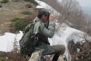 خلأهای قانونی برای امنیت جنگل‌بانان و محیط‌بانان