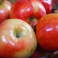 کاهش آلرژی غذایی با غذاهای پرفیبر