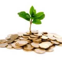مزاحمان شروع کار در پایتخت