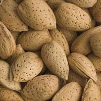 با این مواد غذایی سلامت بدنتان را تضمین کنید 