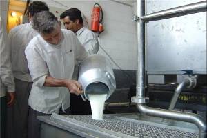 ضوابط حمایتی از دامداران در لیست قوانین متروکه قرار گرفته است
