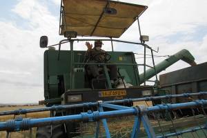 تکثیر شگفت انگیز کمباین