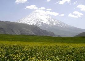 آشنایی با دشت لار