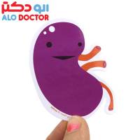 حفظ سلامت کلیه ها با چند راه حل ساده!
