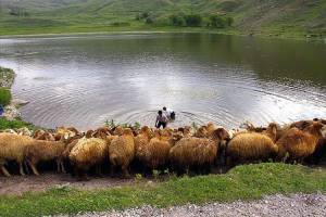 آشنایی با عشایر ایل شاهسون