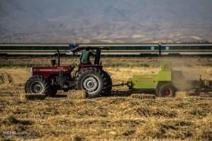 تجهیزات برداشت گندم در استان زنجان نوسازی می شود