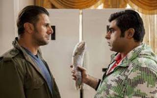 حیایی از حضورش در «ناردون» گفت