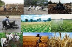 کشاورزان آذربایجان غربی نای تولید ندارند