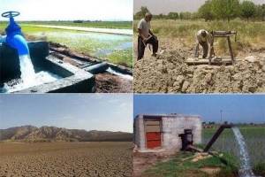 کشاورزان خرمشهر نیازمند توجهی ویژه هستند