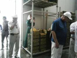 ایجاد قطب های صنایع تبدیلی با توجه به ظرفیت مناطق کشور