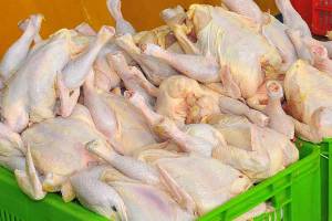 نرخ جدید مرغ و انواع ماهی