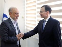 رایزنی تهران و مسکو برای اجرای فاز دوم نیروگاه بوشهر آغاز شد