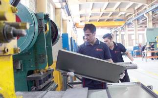 پروانه‌های غیر واقعی