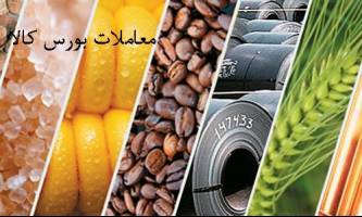 تامین امنیت تولیدکنندگان و ثبات قیمت با عرضه مرغ در بورس کالا