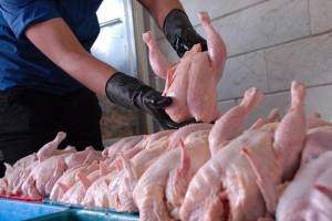 نرخ جدید مرغ و انواع ماهی در بازار اعلام شد