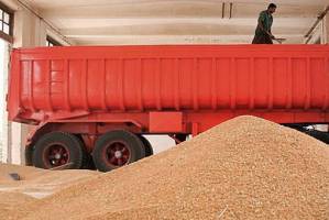 مطالبه ۳۸۰ میلیارد ریالی گندم کاران ایلامی