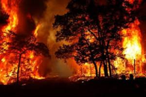 آتش سوزی  در جنگل های الوار گرمسیری اندیمشک