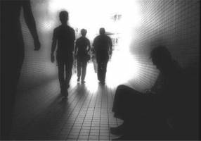 حل مشکل آسیبهای اجتماعی نیازمند ادبیاتی مشترک بین دستگاه هاست