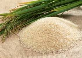 فروش برنج خارجی با نام برنج طارم در زنجان
