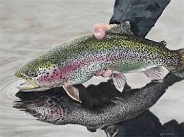 نرخ جدید انواع ماهی در بازار