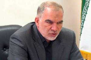 شرکت های تعاونی در ۱۱۰ گرایش فعال هستند